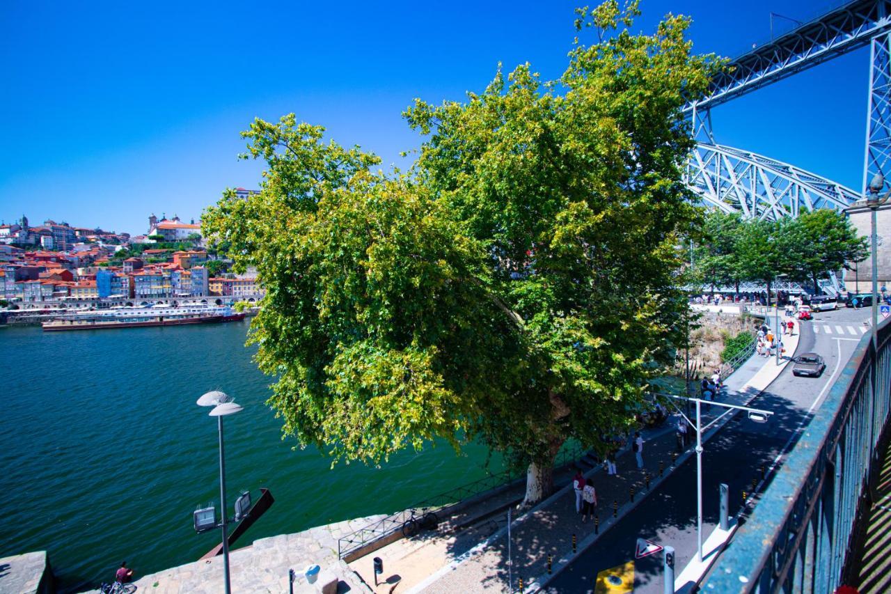 Nortesoul Porto A Vista Apartment